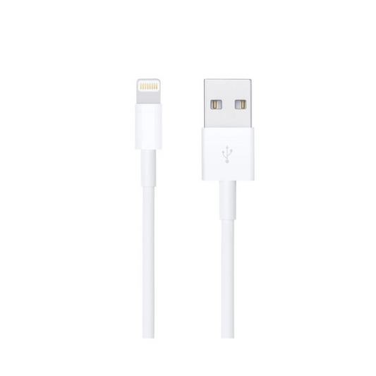 Apple Lightning to USB Cable (1m)