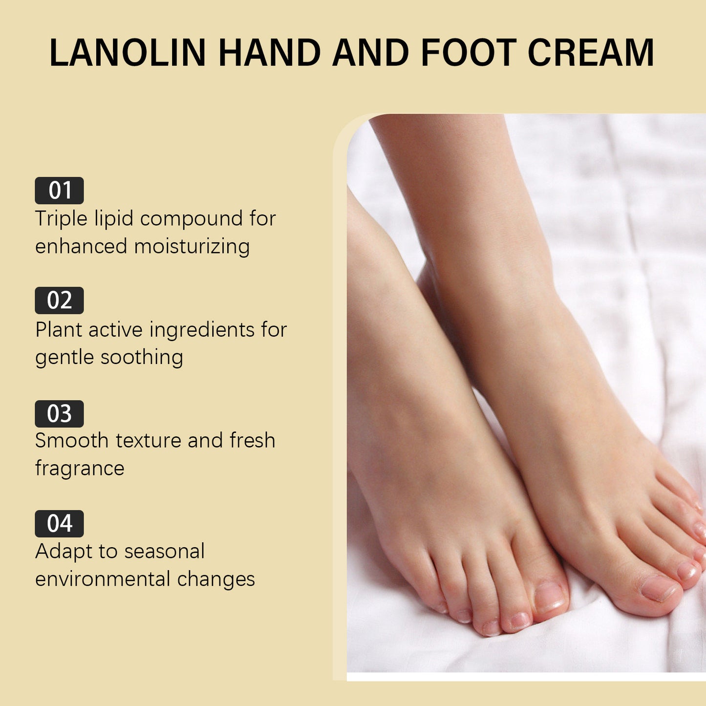 OceAura Lanolin Hand nad Foot Cream ( Pack of 2)